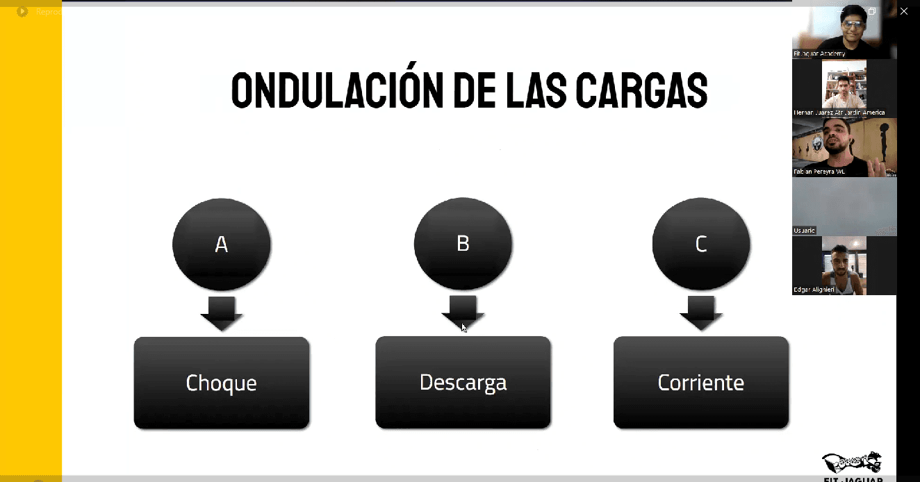 ondulaciones-de-cargas